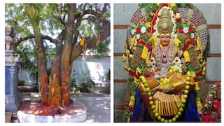 Aadi Month 2024: ஆடி மாதம்! வேப்பமரத்திற்கும், அம்மன் வழிபாட்டிற்கும் என்ன தொடர்பு? புராணங்கள் சொல்வது இதுதான்!