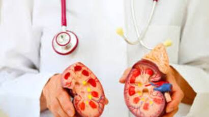 How to prevent kidney cancer follow these Six lifestyle tips Kidney Cancer: சிறுநீரக புற்றுநோயைத் தடுப்பது எப்படி- உங்களுக்கான சரியான ஆலோசனைகள் இதோ..!