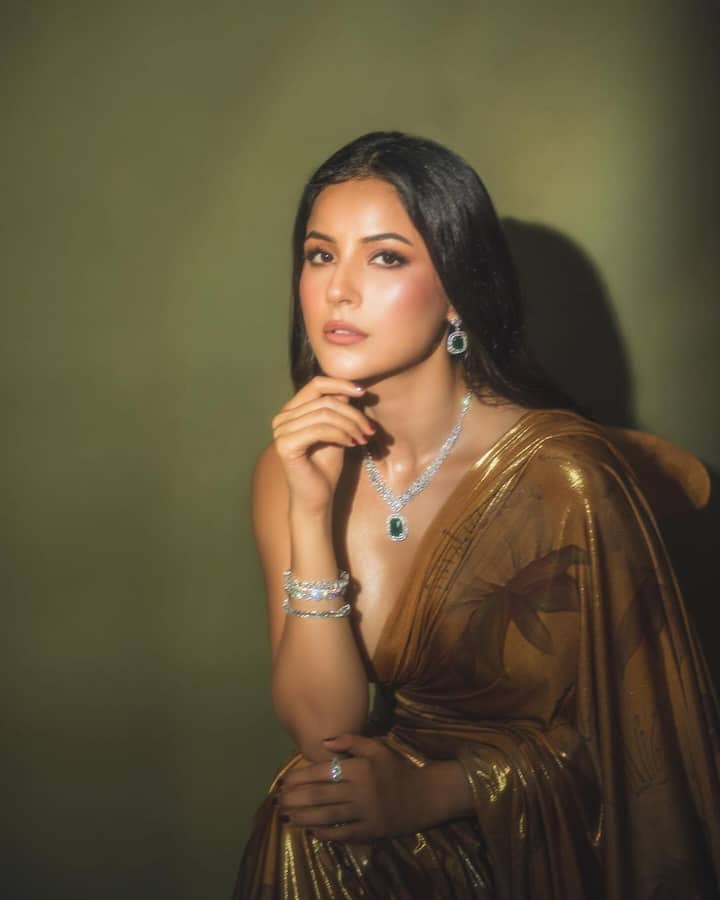 All Pics Credit: Instagram/@shehnaazgill