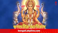 সংসারে অর্থাভাব থাকবে না, আসবে সুখ-সমৃদ্ধি ; যদি ঘরে রাখেন মা লক্ষ্মীর এইরকম ছবি