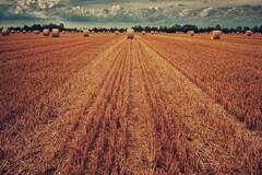 अच्छी खबर! अब एग्रीकल्चर लोन चुकाने में किसानों की मदद करेगी सरकार