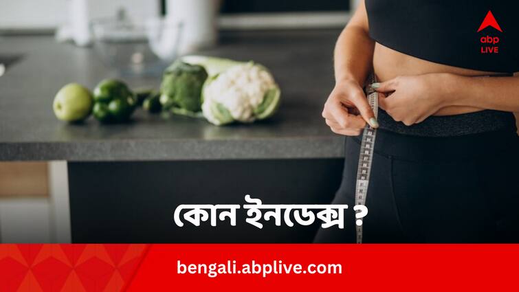 Weight Loss Tips Follow Glycemic Index When Choosing Food To Lose Weight Faster Weight Loss Tips: ওজন কমাতে চান দ্রুত ? এই ইনডেক্স দেখে খাবার খেলে ফল পাবেন হাতেনাতে