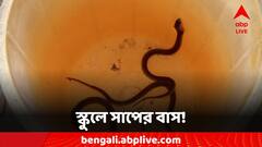 স্কুলের ভেতরে সাপের ডেরা! চাঞ্চল্য মালদায়