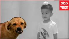 भिवंडीत पिसाळलेल्या कुत्र्याने शाळकरी मुलांसह 40 जणांचा चावा घेतला, अखेरीस नागरिकांनी ठेचून मारले