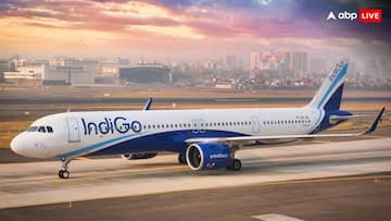 IndiGo Share Price: इंडिगो के स्टॉक में मार्च 2022 के बाद सबसे बड़ी गिरावट, खराब नतीजों के चलते 13 फीसदी तक फिसला शेयर