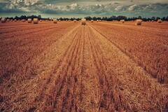 સારા સમાચાર! હવે એગ્રીકલ્ચર લોન ચુકાવવામાં ખેડૂતોની મદદ કરશે સરકાર