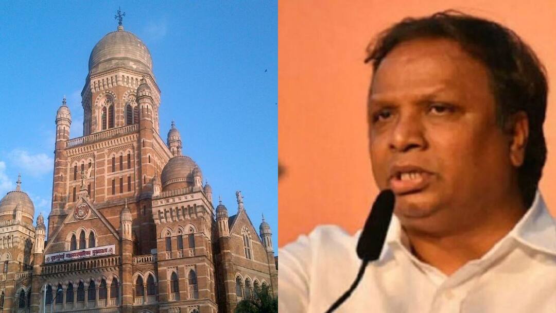 नालेसफाईचे आकडे फसवे, मुंबई महापालिकाचे अधिकारीच जबाबदार, पावसाच्या मुद्यावरुन आशिष शेलारांची टीका Ashish Shelar criticized the officials of Mumbai Municipal Corporation on the issue of rain in Mumbai नालेसफाईचे आकडे फसवे, मुंबई महापालिकाचे अधिकारीच जबाबदार, पावसाच्या मुद्यावरुन आशिष शेलारांची टीका