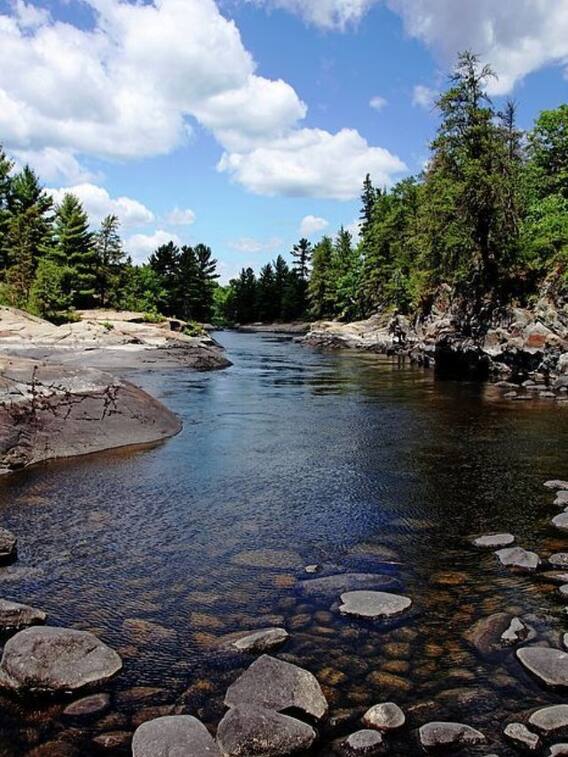 ये हैं बिहार की 10 प्रमुख नदियां