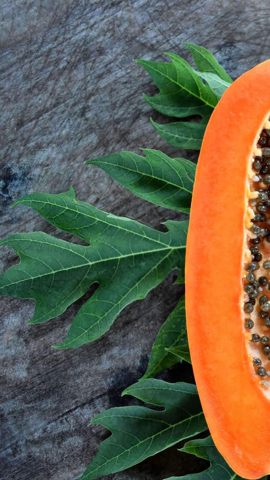 Dengue Recovery Tips Papaya Leaf Juice For Boosting Platelets During