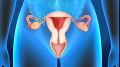 शुरुआत में नहीं दिखते हैं ओवेरियन कैंसर के लक्षण, जानें इसके पहचानने का तरीका