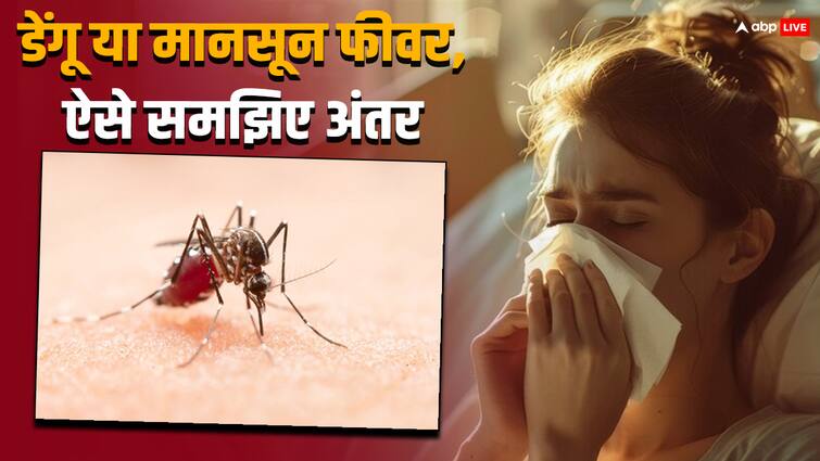 health tips in rainy days monsoon fever and dengue difference by symptoms Monsoon Fever vs Dengue: मानसून फीवर और डेंगू में क्या है अंतर, जानें दोनों में से कौन सी बीमारी ज्यादा खतरनाक