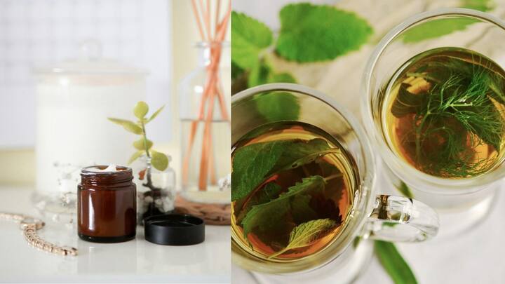 குளிர், வெயில், மழை என எந்தப் பருவ காலமாக இருந்தாலும் சருமத்தை மாய்ஸ்சரைஸ் செய்வது அவசியம். ஆனால் ஒவ்வொரு பருவகாலத்திற்கும் ஒவ்வொரு சருமத்திற்கும் ஒவ்வொரு விதமான மாய்ஸ்சரைஸர் தேவைப்படும். அதிக கெமிக்கல் இல்லாத மாய்ஸ்சரைஸர் பயன்படுத்தவும். வீட்டிலேயே கற்றாழை வளர்க்க முடியும் என்றால் அதை பயன்படுத்துவது நல்லது. ஹெர்பல் டீ குடிக்கலாம்.