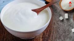 Curd Astro Tips: শুভ কাজ করার আগে দই খেয়ে থাকি, এই নিয়ম কি আদৌ ভাগ্য বদলায়?