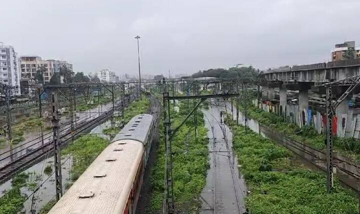 मुंबईत अनेक ठिकाणी रेल्वेच्या ट्रॅकवर पाणी साचलं आहे. त्यामुळं वाहतूक विस्कळीत झाल्याचे पाहायला मिळत आहे.