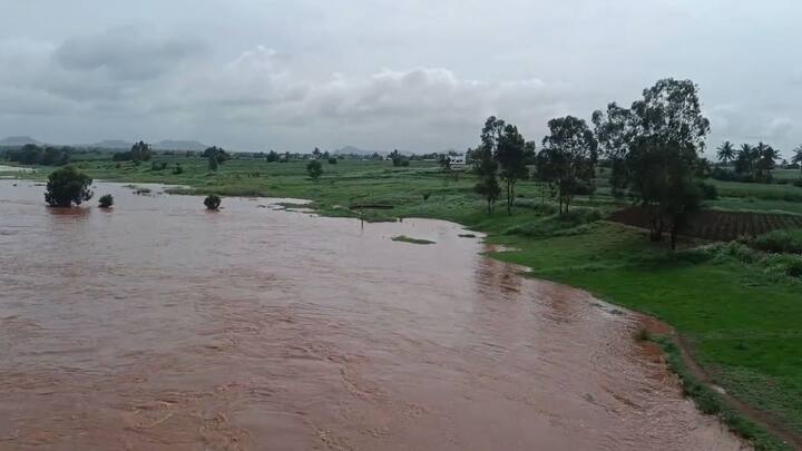 वारणा नदीवरील- चिंचोली बंधारा पाण्यात आहे