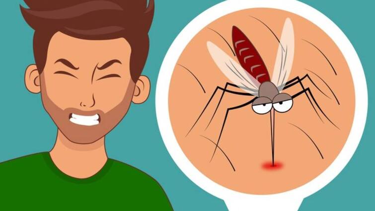 These are the five main symptoms of dengue fever. As soon as you see them, run to the hospital immediately.