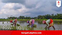 Weather Update : বিকেলেই নামবে বৃষ্টি, দক্ষিণবঙ্গে বর্ষার খেলা শুরু এই জেলাগুলি থেকেই