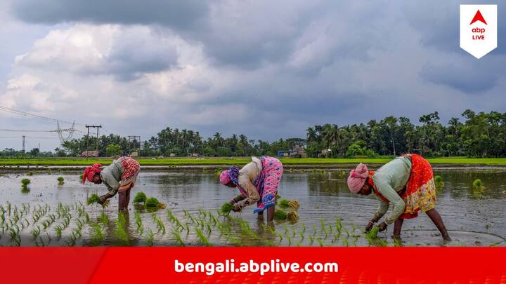 জুনের প্রচণ্ড বৃষ্টির ঘাটতি জুলাইতে মিটবে কি না, তা এখনও নিশ্চিত করে বলতে পারছে না আবহাওয়া দফতর। তবু এরই মধ্যে একটু আশার বার্তা দিল তারা।