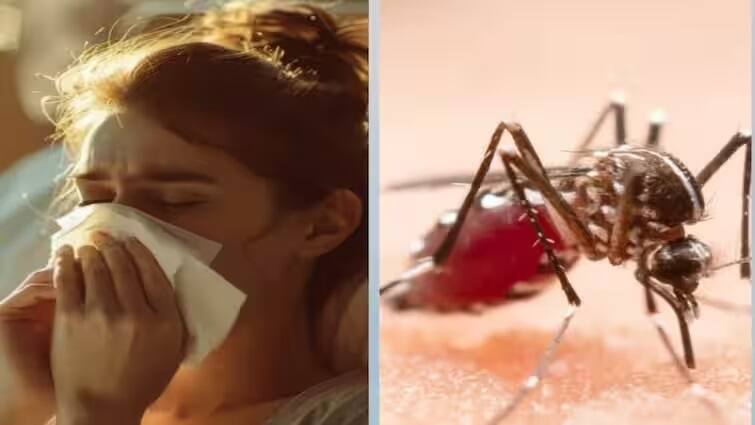 Difference Fever News read health updates in rainy days monsoon fever and dengue difference by symptoms Health: ચોમાસાનો તાવ અને ડેન્ગ્યૂ બન્ને છે અલગ, શું છે અંતર ને કઇ બીમારી છે વધુ ખતરનાક, જાણો