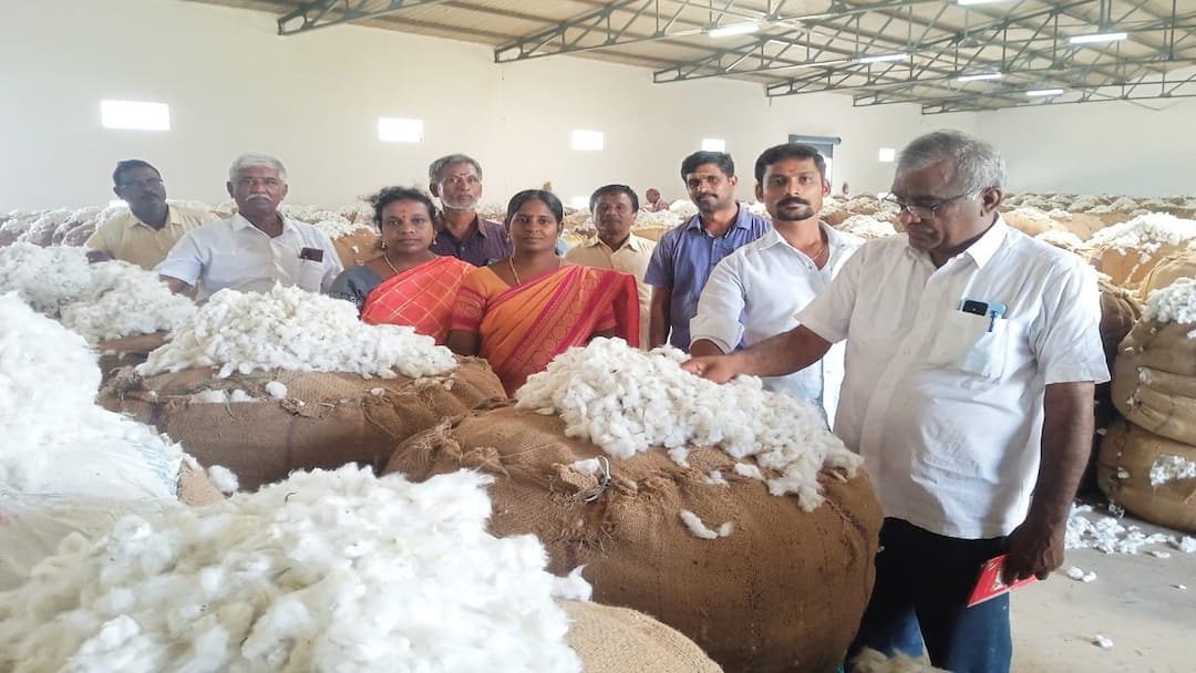 பாபநாசம் ஒழுங்குமுறை விற்பனை கூடத்தில் அதிகபட்சமாக பருத்தி குவிண்டாலுக்கு ரூ.7309க்கு ஏலம்