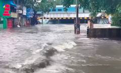 6 કલાકના વરસાદમાં મુંબઈ ડૂબ્યુ! શાળાઓ બંધ કરવી પડી, લાઈફલાઈન અટકી ગઈ, 27 ફ્લાઈટ્સ ડાયવર્ટ