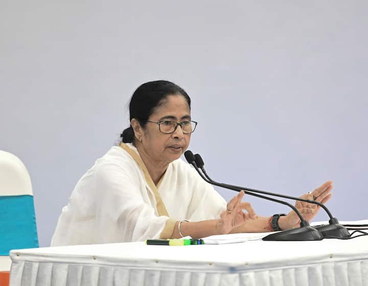 রাস্তাঘাটে রাজ্য সরকারের তরফে নীল রঙ করা নিয়েও বার্তা দিয়েছেন মুখ্যমন্ত্রী। মমতা বলেন, এবার থেকে প্লাস্টিক রঙ ব্যবহার করে রঙ করতে হবে। চুনকাম করলে বৃষ্টির জলে ধুয়ে যাচ্ছে, টাকাও যাচ্ছে, কাজও থাকছে না। ছবি সূত্র- পিটিআই