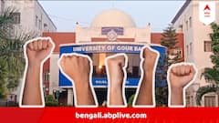 গৌড়বঙ্গ বিশ্ববিদ্যালয়ে প্রথম সেমিস্টারে ফেল ৯৭%, মাথায় হাত হাজার-হাজার পরীক্ষার্থীর ! শুরু প্রতিবাদ