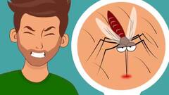 Dengue Symptoms: ਡੇਂਗੂ ਹੋਣ ਤੋਂ ਪਹਿਲਾਂ ਸਰੀਰ 'ਚ ਨਜ਼ਰ ਆਉਂਦੇ ਆਹ ਲੱਛਣ, ਤੁਰੰਤ ਡਾਕਟਰ ਕੋਲ ਜਾਓ