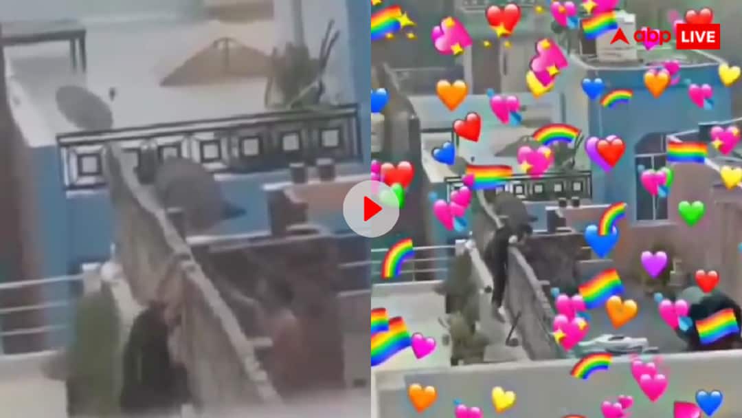 Video: बारिश के बीच छत पर रोमांस करने लगा कपल, दीवार पर चढ़कर किया किस- वायरल हुआ वीडियो Couple kissed each other openly in pouring rain video goes viral Video: बारिश के बीच छत पर रोमांस करने लगा कपल, दीवार पर चढ़कर किया किस- वायरल हुआ वीडियो