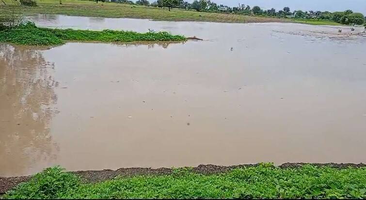 maharashtra rain update heavy rain in vidarbha along with buldhana akola Heavy rains hit farmers Crop loss on thousand hectares maharashtra marathi news Heavy Rain : अवघ्या काही तासांच्या पावसाचा सर्वत्र हाहाकार! हजारो शेतकर्‍यांना अतिवृष्टीचा फटका, बळीराजा पुन्हा हवालदिल 