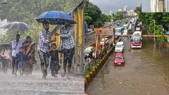 Rain Update: દેશના આ રાજ્યોમાં વરસાદ બન્યો આફત, ચંપાવતમાં 400 લોકોનું રેસ્ક્યુ તો કાજીરંગા તણાયા પશુ