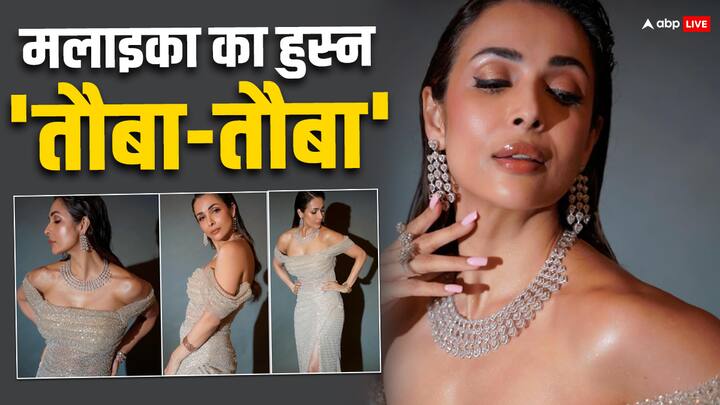 Malaika Arora Stunned In Shimri Dress: मलाइका अरोड़ा अपने स्टनिंग ड्रेसिंग स्टाइल और ग्लैमरस अवतार के लिए जानी जाती हैं. हाल ही में एक्ट्रेस ने कुछ ऐसी फोटोज शेयर की हैं जिनपर फैंस नजरें ठहर गई हैं.