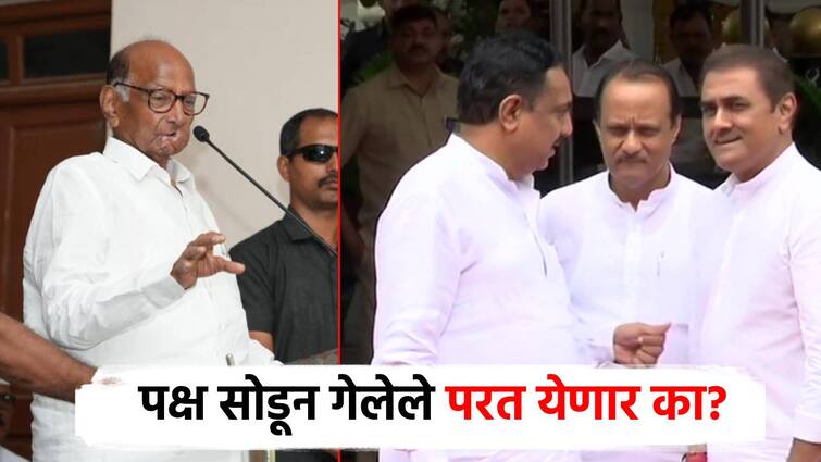 Sharad Pawar's refusal was also seen as a yes in case of NCP ajit pawar leaders, People who left the party don't meet me, but.. Video: पक्ष सोडून गेलेले लोक मला भेटत नाहीत, पण...; शरद पवारांच्या नकारातही  दिसला असा होकार