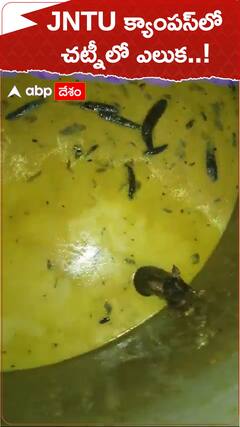 JNTU క్యాంపస్‌లో చట్నీలో ఎలుక..!