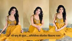 Pooja Sawant : केवड्याचं पान तू, कस्तुरीचं रान तू... पूजा सावंतचं 'हे' वालं फोटोशूट पाहिलं का?