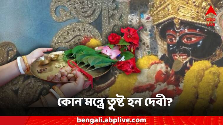 bipattarini puja 2024 chant this mantra in this auspicious day of pujo dos and donts Bipattarini Pujo: বিপত্তারিণী পুজোর শুভক্ষণে কোন মন্ত্র পাঠে তুষ্ট হবেন দেবী? কী কী করবেন না ভুলেও?