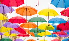 हमेशा गोल ही क्यों बनाई जाती है छतरी, कभी चौकोर बनाने की क्यों नहीं हुई कोशिश?