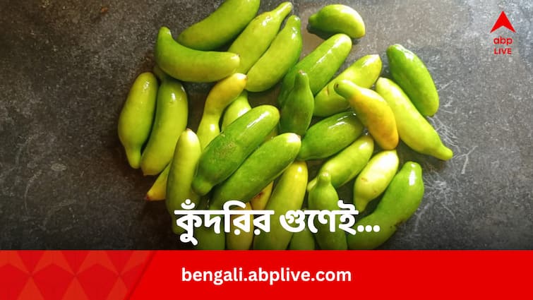Ivy Gourd Kudri Top 6 Benefits In Sugar Nerve And Heart Health