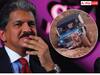 Anand Mahindra's Post: ਇਸ ਆਫ-ਰੋਡ ਗੱਡੀ ਜ਼ਰੀਏ ਆਨੰਦ ਮਹਿੰਦਰਾ ਨੇ ਸ਼ੇਅਰ ਕੀਤੀ ਪ੍ਰੇਰਣਾਦਾਇਕ ਪੋਸਟ, ਵੀਡਿਓ ਹੋ ਰਹੀ ਵਾਇਰਲ