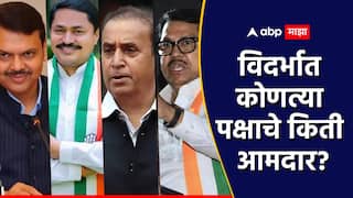 Vidarbha MLA List : नागपूरसह विदर्भात कोणाचं वर्चस्व? कोणत्या पक्षाचे किती आमदार? सविस्तर माहिती एका क्लिकवर