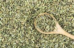 Skin Care Tips: सौंफ का इस्तेमाल कर टैनिंग से पाएं छुटकारा, कुछ ही दिनों में ग्लोइन बनेगी स्किन