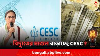 Mamata On CESC: সরকারকে অন্ধকারে রেখেই বিদ্যুতের মাশুল বাড়াচ্ছে CESC ? বিস্মিত মুখ্যমন্ত্রী !