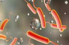 Rajkot: રાજકોટમાં નોંધાયો કોલેરાનો વધુ એક કેસ, દોઢ વર્ષનું બાળક કોલેરા પોઝિટિવ 