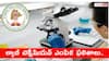 TGPSC Lab Technician Recruitment: ల్యాబ్ టెక్నీషియన్ ఫలితాలు విడుదల, ఉద్యోగాలకు 285 మంది ఎంపిక