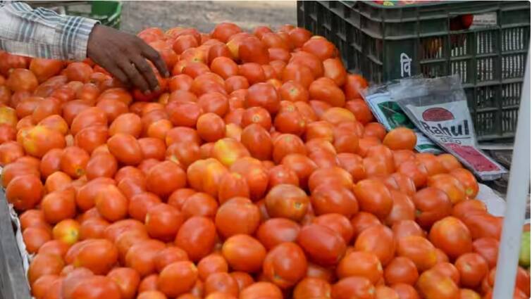 Tomato Price Hike Big increase in the price of tomatoes tomatoes in Mumbai market 100 to 120 rupees per kg टोमॅटोनं केलं शतक! मुंबईच्या बाजारात टोमॅटो 100 ते 120 रुपये किलो, दर वाढण्याचं कारण काय?