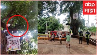 Marathi Movies : शिवाजी पार्कात खळबळ! फास घेण्याची धमकी देत मराठी निर्माता चढला झाडावर; थेट मोदींनाच आवाहन; प्रकरण काय?