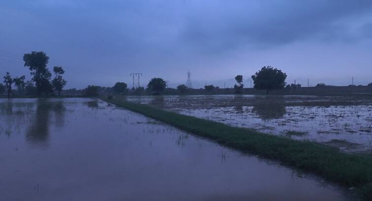 Mehsana RainFall story heavy rain starts in the bechraji taluka from the early morning monsoon RainFall: મહેસાણાના બહુચરાજીમાં ભારે વરસાદ, ખેતરો નદી બન્યા, ઘરોમાં ઘૂસ્યા વરસાદી પાણી...