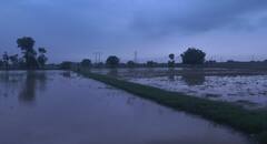 RainFall: મહેસાણાના બહુચરાજીમાં ભારે વરસાદ, ખેતરો નદી બન્યા, ઘરોમાં ઘૂસ્યા વરસાદી પાણી...