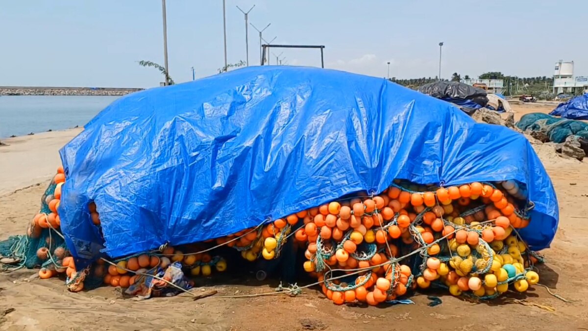 பூம்புகாரில் மீன்பிடி வலைகளை பறிமுதல் செய்த மீன்வளத்துறை அதிகாரிகள் - காரணம் இதுதான்