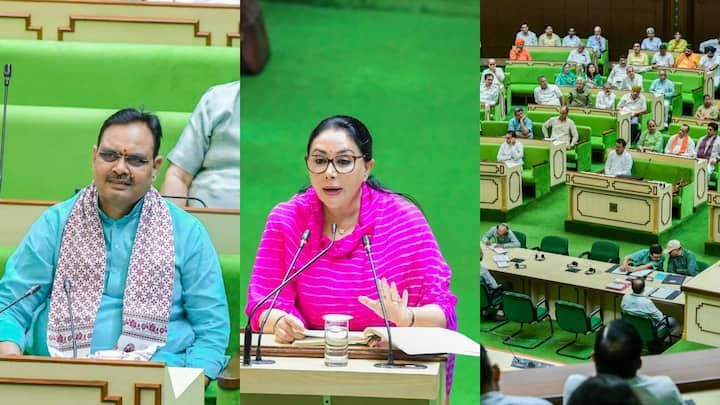 Rajasthan Budget 2024: राजस्थान की वित्त मंत्री दीया कुमारी ने बुधवार को राजस्थान का पूर्णकालिक बजट पेश किया है. बजट में 25 लाख ग्रामीण मकानों में नल से जल पहुंचाने की घोषणा की गई.